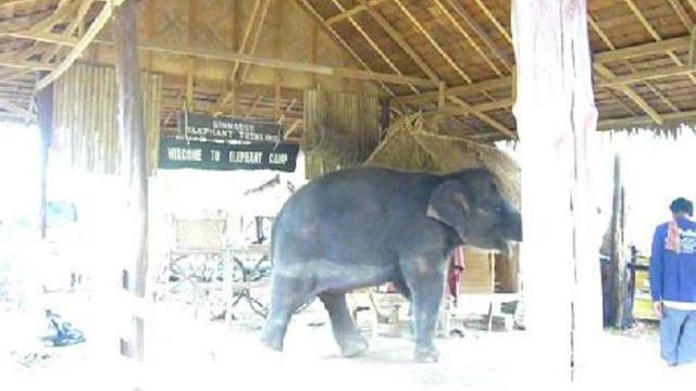 Пхукет смотреть онлайн