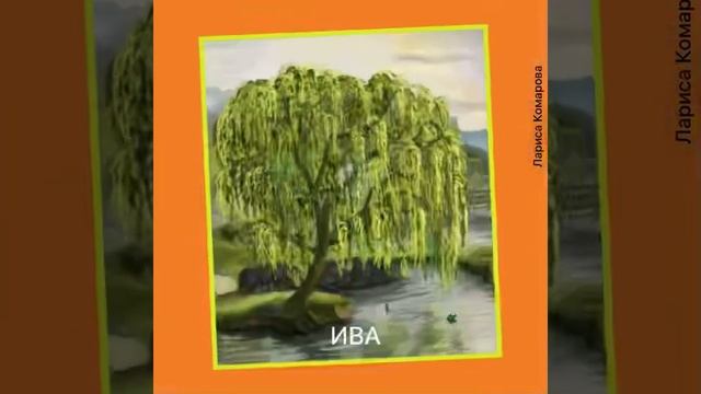 Названия ЛИСТЬЕВ ДЕРЕВЬЕВ. Занятия с детьми. смотреть онлайн