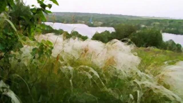 "Весна" - Эдуард Багрицкий смотреть онлайн