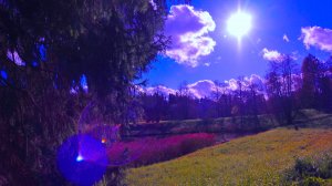 В сотворчестве с Законами Вселенной