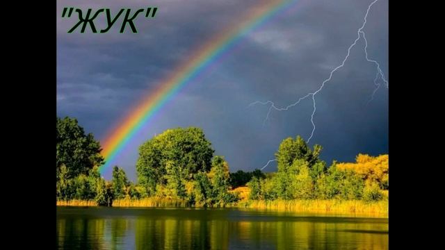 ЖУК смотреть онлайн