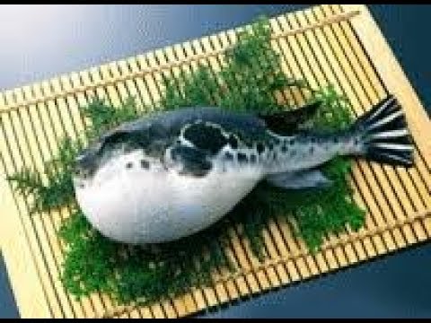 Уличная еда Японии - Рыба Фугу (приготовление) смотреть онлайн