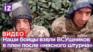 «Вот очередной «мясной штурм». Вторую атаку отбиваем за сегодня»: наши бойцы разгромили ВСУшников