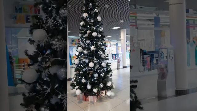 6 декабря 2023 г. смотреть онлайн