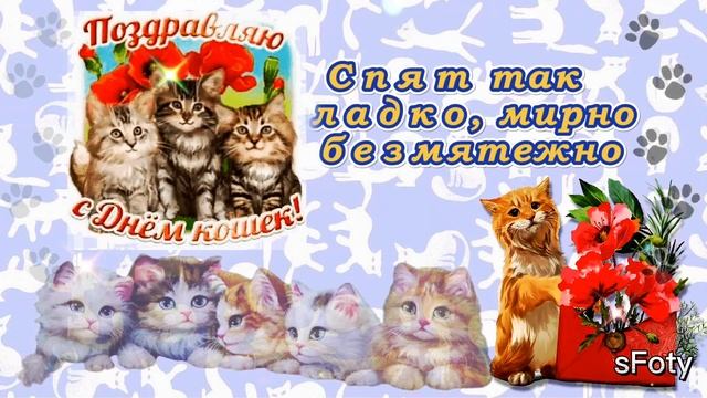 с Днем кошек! 1 Марта День кошек. Поздравляю!
