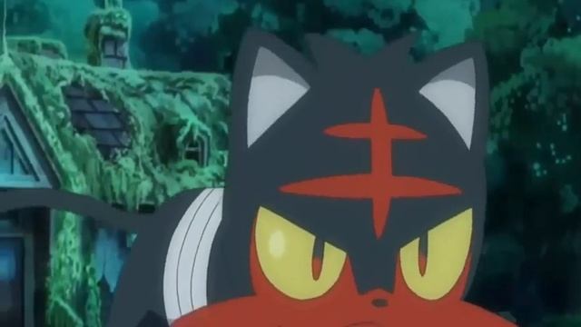 Pokemon Temporada 20 Sol y Luna Ash Atrapa A Litten смотреть онлайн