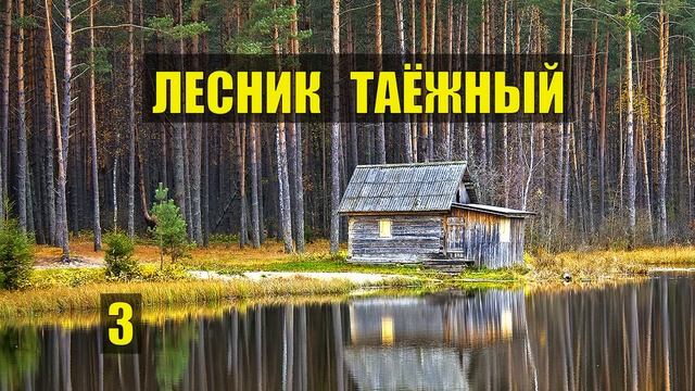 ИСТОРИЯ ГОРБАТОГО ОТШЕЛЬНИКА ЛЕСНИКА СЛУЧАЙ в ТАЙГЕ из ЖИЗНИ ДОМ в ЛЕСУ ЛЮБОВЬ и ГОЛУБИ СЕРИАЛ 3 смотреть онлайн