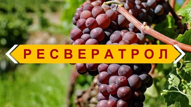 ТЕСТОСТЕРОН. Как ПОВЫСИТЬ его уровень? смотреть онлайн