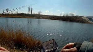 Рыбалка на карася в Донецкой области 2024