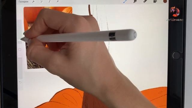 Рисуем Тыкву в Procreate! Digital art and illustration смотреть онлайн