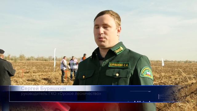 Сотрудники компании ПАО «ТПлюс» высадили 4400 саженцев ясеня 2 смотреть онлайн