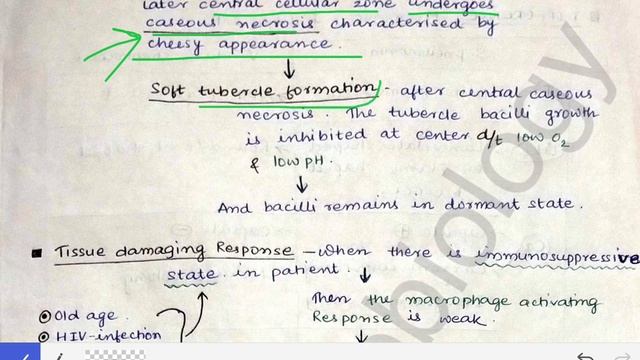 Tuberculosis (Part-1) | Causative agent | Pathogenesis (simplified) | Clinical features смотреть онлайн