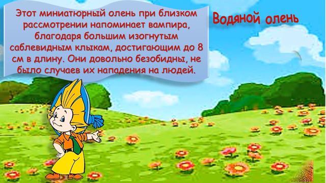 "Это интересно" ЖИВОТНЫЕ смотреть онлайн