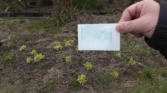 FUJIFILM instax mini 90　自撮り棒を買ってみました！(I bought a selfie stick) смотреть онлайн