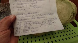 Когда квасить Капусту в Октябре! Благоприятные Дни для засолки Капусты.