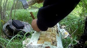 Заготавливаем бересту и берёзовый шпальт