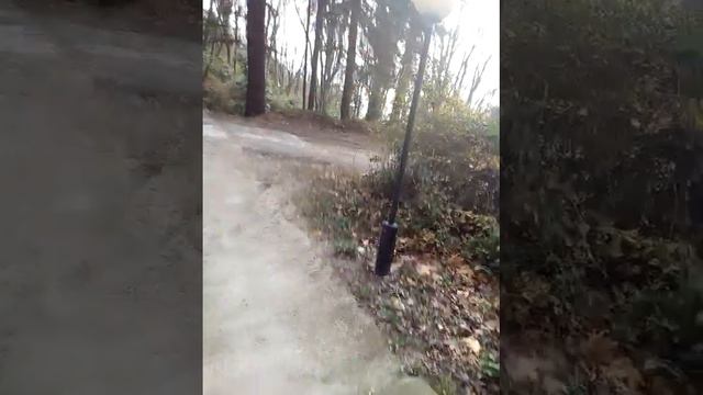 Сочи.Терренкур.Тропа здоровья смотреть онлайн