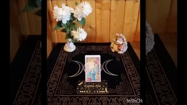 ✨Карта дня на 9 июля 2024✨ смотреть онлайн