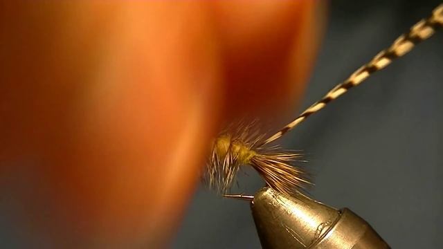 Stimulator stonefly dry fly tying instructions by Ruben Martin смотреть онлайн