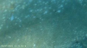 На море на машине,  отдых в палатке, коса Беляус, Крым 2023