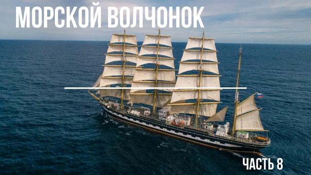 Морской Волчонок аудиокнига Томас Майн Рид часть 8 смотреть онлайн