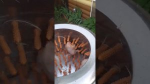 Перосъёмная машина NT-600