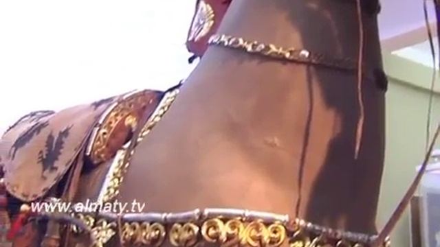 Музеев прибавилось смотреть онлайн