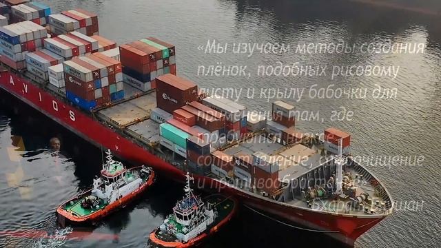 Поразительные технологии самоочищения в природе || Природа свидетельствует о Творце! смотреть онлайн