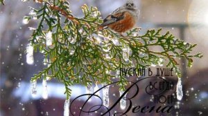 "Это мамин день"