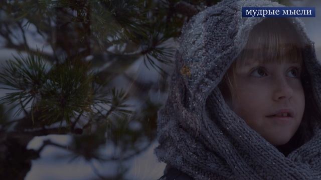 Лучшие Афоризмы, Цитаты и Высказывания | Мудрость Жизни смотреть онлайн