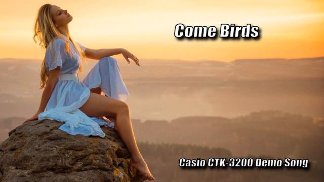 Come Birds - Casio Demo Song смотреть онлайн