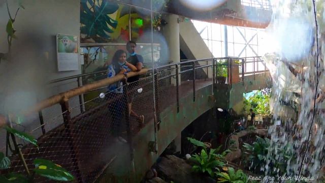 Green Planet Dubai | 4K | CityWalk | GreenHouse | Exotic Birds | Artifical Rainforest | Cinematic смотреть онлайн