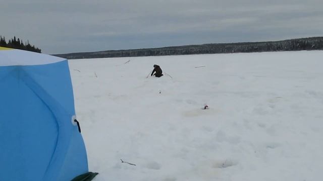 Зимняя рыбалка на Северной сосьве смотреть онлайн