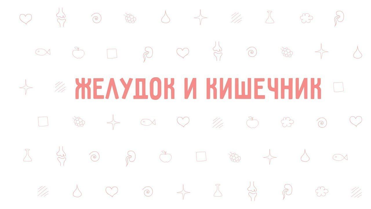 16. Желудок и кишечник . Окружающий мир - 3 класс смотреть онлайн