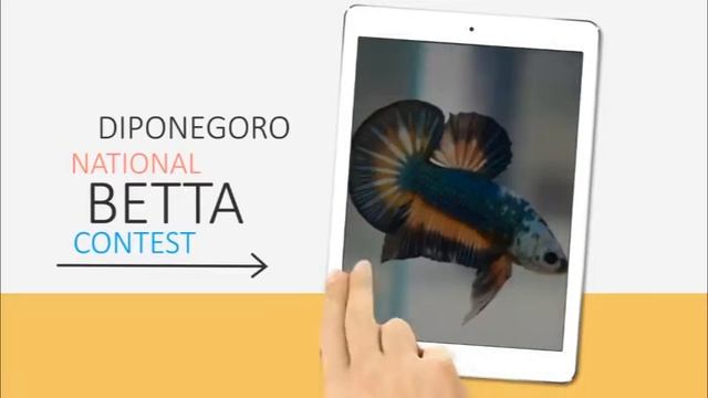 [TEASER] AQUAWORLD #2 смотреть онлайн