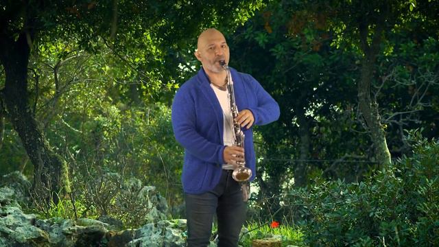 Ordner Seg for alto clarinet and piano. Marco Mazzini & Rena Hashimoto смотреть онлайн