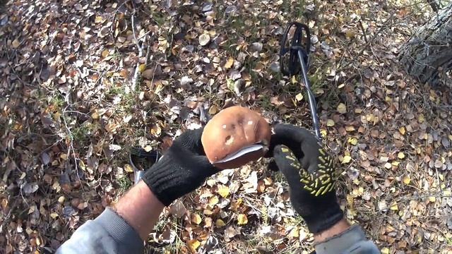ТАНКОВОЙ ПОЛИГОН нашёл настрел латунных гильз на старом заброшенном полигоне. Коп металла. смотреть онлайн