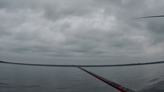 Ловля рыбы на маховую удочку. Плотва, подлещик. Озеро Балтым #ловляплотвыподлещика #озеробалтым смотреть онлайн