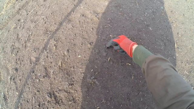 Откройте Тайну! Коп Монет с Камрадом в Урочище, между двух озер. смотреть онлайн