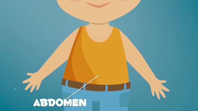 The Human Body for children - Body Parts for Kids смотреть онлайн