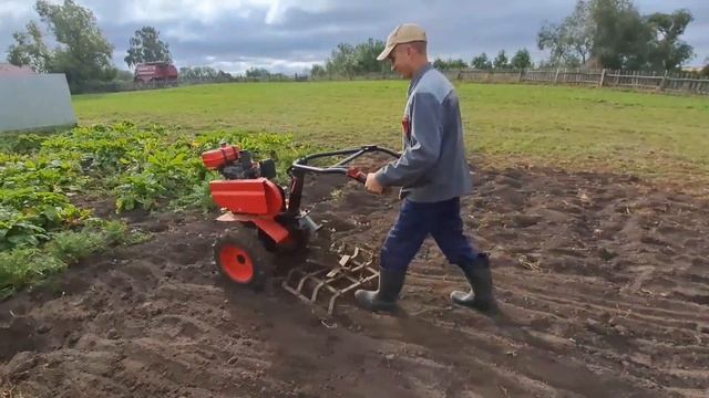 Мотоблок Кадви с конной бороной.