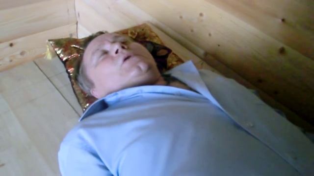 Сон на пчелах в коттеджном поселке "МАКСИМУС" в Домодедовском районе Московской области. СОННАПЧЕЛА смотреть онлайн