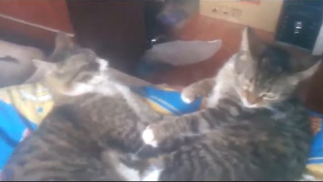 Снял "клип" про семью смотреть онлайн