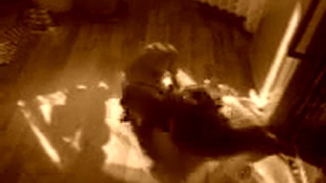 Моя собака вынуждает кота себя вылизывать 1 смотреть онлайн