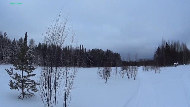 БТС Арктик. Буксуем! смотреть онлайн