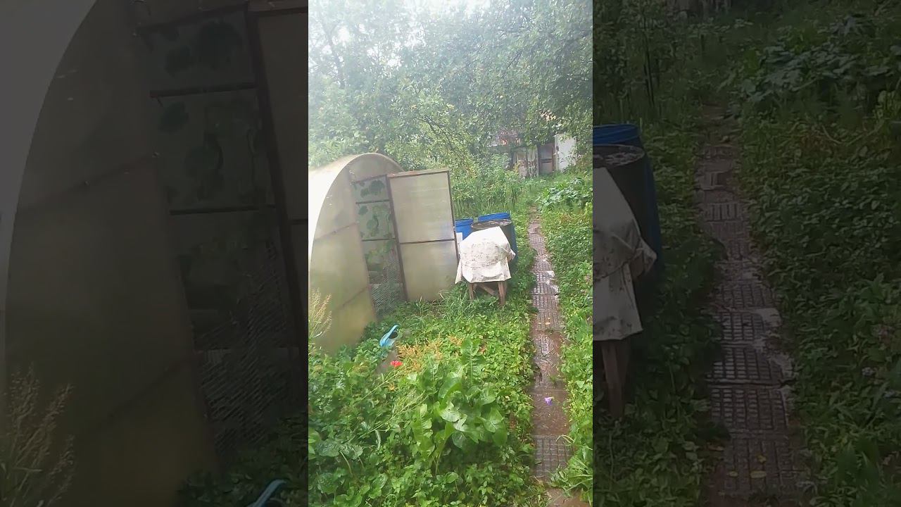 летний дождь на даче)#дождь смотреть онлайн