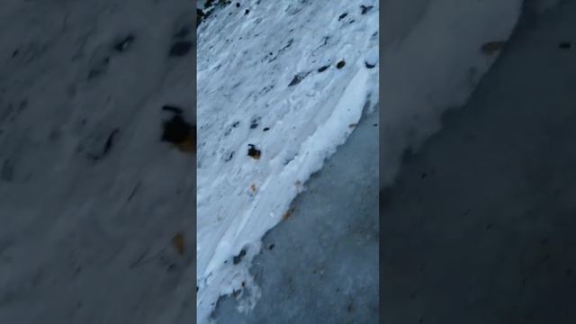 база отдыха * прастаквашино* 5 часть ошибка просто вышла это 5 часть смотреть онлайн