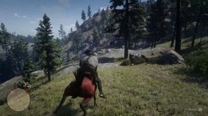 ?Где найти Красно-рыжую Арабскую Лошадь и скелет кита ?|Red Dead Redemption 2|