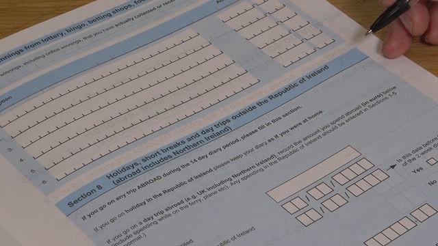 How to complete your Household Budget Survey Spending Diary смотреть онлайн