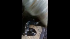 замена крестовины карданного вала ваз 2107 (скрип и посторонний шум от крестовины)